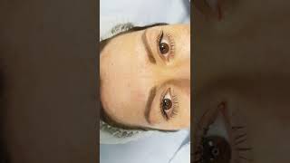 Eyebrows Microblading 3D Restoration by El Truchan @ Perfect Definition