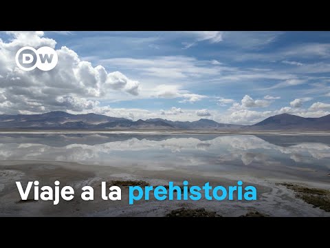 Biodiversidad en peligro: por qué perder especies amenaza nuestra vida 🐆🌳