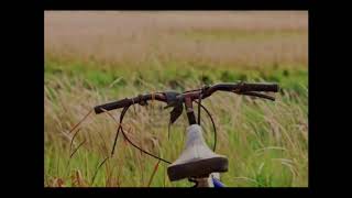 Gilbert O&#39;Sullivan   What&#39;s In A Kiss