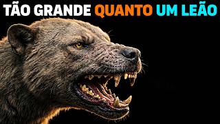 🚨 GUINNESS! Cão de 170kg do TAMANHO DE UM LEÃO e mais PERIGOSO