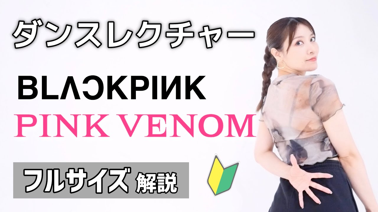 【ダンスレクチャー】 BLACKPINK - PINK VENOM  / フル解説🔰初心者向け