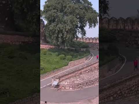 Jhansi ka kila #fort #jhansi #jhansifort #laxmibai #gwalior #uttarpradesh #travel #vlog #trending
