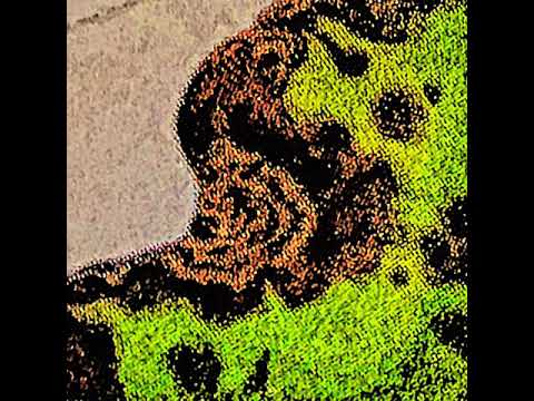 Where Were You Where They Were Also - The slaps (Audio)