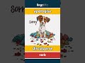 apologise - disculparse video thumbnail