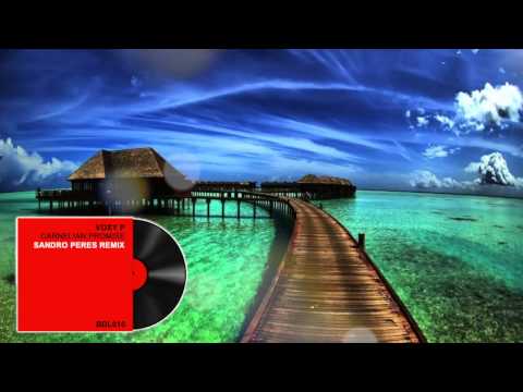 Voxy P - Carnelian Promise (Sandro Peres remix)  2013