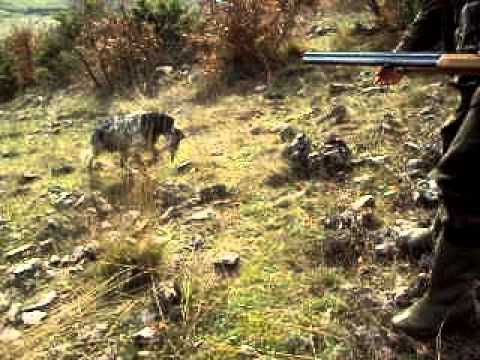 Gjuetaret Purba Pogradec