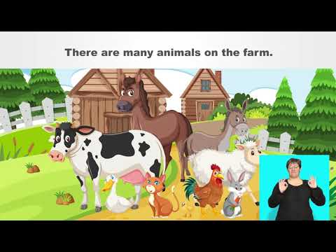 Rainbow Series English Fal Term 3 Grade R Lesson 8