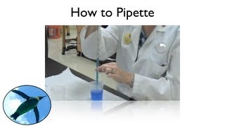 How to Pipette:  Lab Survival Skills