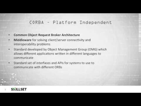 Distributed Computing (CISSP Free by Skillset.com)
