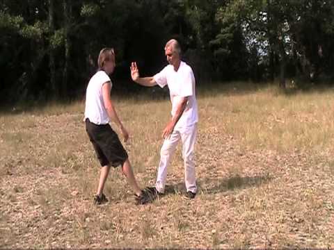 Eddy Present TaiJiQuan Martial part 1