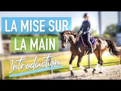 COMMENT METTRE SON CHEVAL SUR LA MAIN - Quest ce que c'est ? Pourquoi et comment ?