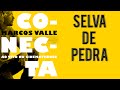 Marcos Valle canta: Selva de Pedra (DVD Conecta)