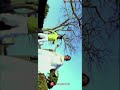 Ennamo Nadakkirathe Song Whatsapp Status Full Screen 01 Yuvanaddicttn65