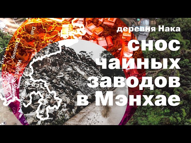 Снос чайных заводов в Мэнхае. Поездка в чайную деревню Нака