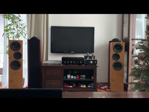 Living Voice IBX R2 + AUdio Note Oto SE