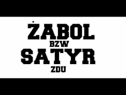Żabol BZW Feat. Satyr ZDU - Jak było, jak jest (2008)