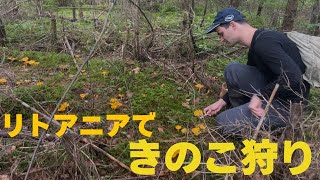 【27】リトアニアの森にきのこ狩りに行きました|ヴィリニュス|リトアニアVlog|北欧・東欧|バルト三国|ヨーロッパ|海外生活|海外移住