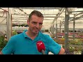 Sierteler uit Marknesse ziet omzet kelderen na wegafsluiting