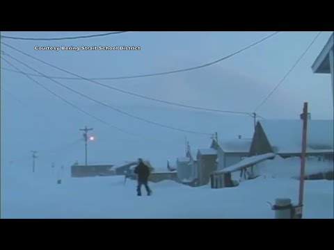 Polar bear attacks, kills baby and mom