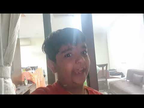 what breed should I get