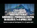 titolo video