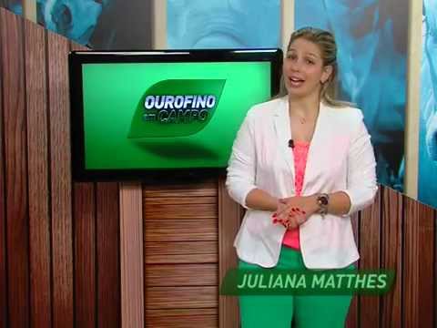 30/04/2015 - Programa Voss, Circuito ExpoCorte - Ourofino em Campo