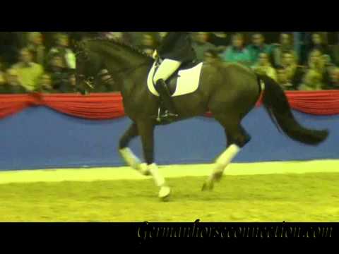 Dormello and Carry Gold Althengstparade2013