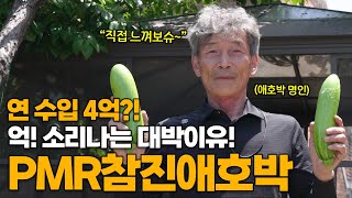 연 수입 4억?! 억 소리나는 애호박 명인의 대박이유!