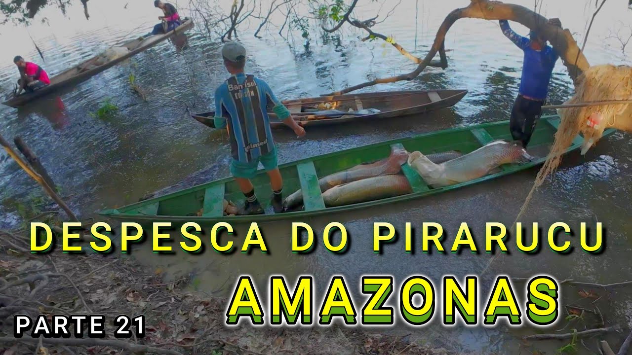 CAMPING AT LAGO DO ANZOL - PIRARUCU DESPESCA - VIDEO 21