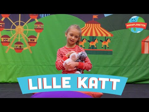 Lille katt - Barnmusik och barnlåtar med Minikompisarna