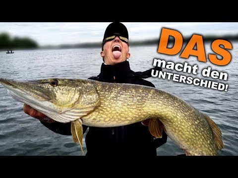 Die schlimmsten FEHLER beim Hechtangeln! So vermeidest du sie...