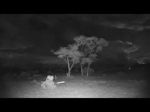 Djuma: Dramatic sky with distant lightning over Djuma in Sabi Sand - 19:06 - 11/24/20