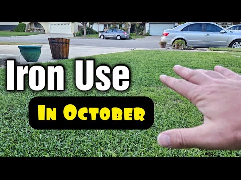 Applying Iron To The Lawn Before Halloween