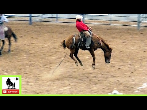 Bronc Riding - 2024 West Texas Ranch Rodeo | Saturday