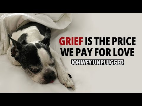 Grieving the Loss of My Dogs