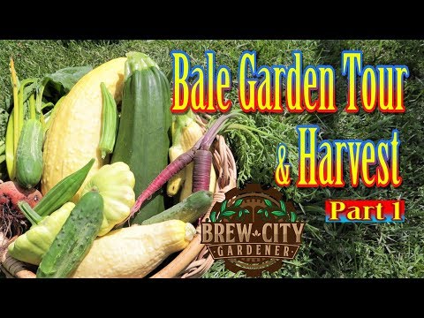 Straw Bale Gardening - Summer Straw Bale Garden Tour Pt. 1