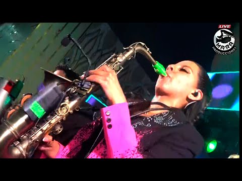 HISTERIA en Vivo 2do Ensayo Morenada Siempre Vacunos 2025