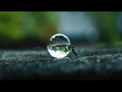 Thought For The Day as Written in Prasanthi Nilayam  5 Feb. 2013