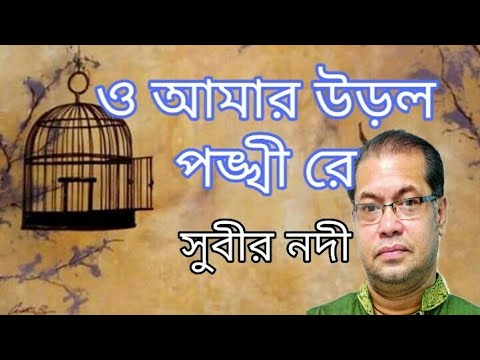 ও আমার উড়াল পঙ্খী রে | O Amar Ural Ponkhi Re | Subir Nandi | By R.J Titon