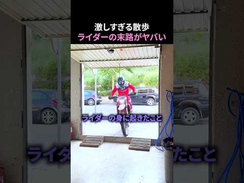 激しすぎる散歩ライダーの末路がヤバい
