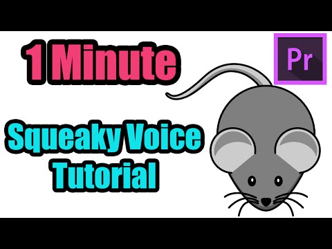 Premiere Pro Podcast Voice Tutorial