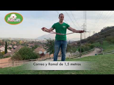 MasCan - Correa Ramal Trenzado