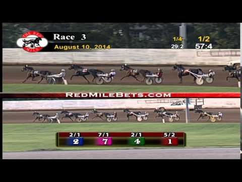 Red Mile Racetrack Race 3 08-10-14