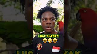 Download lagu Momen Lucu iShowSpeed ngomong Indonesia mp3