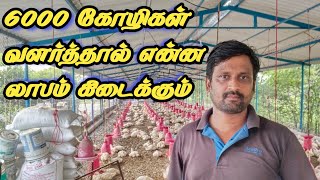 Broiler chicken forming business கோழி ப�