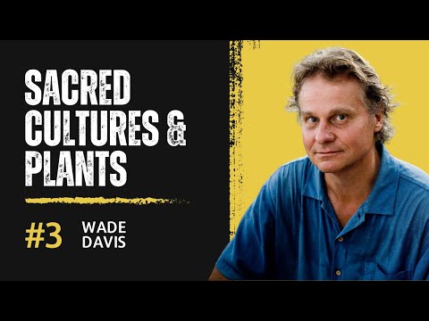 Wade Davis: Ethnobotany, Psychedelic History, & Vanishing Cultures.
