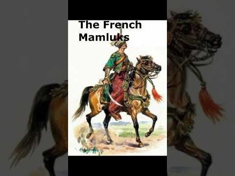 The french mamluks frenchmamluks napoleon mamluks egyptianhistory napoleonicwars