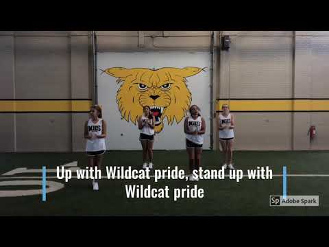 53. Wildcat Pride