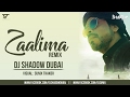 Raees | Zaalima | DJ Shadow Dubai Remix | Shah Rukh Khan & Mahira Khan