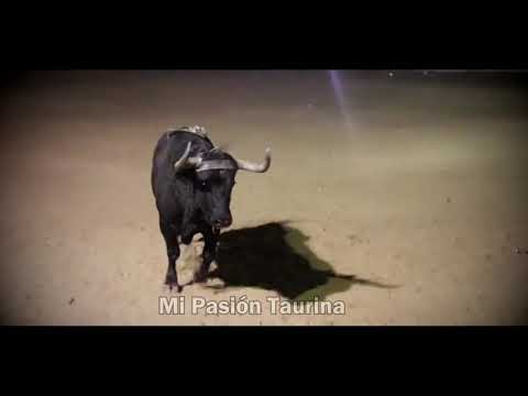 La Historia de Rayo de Luna